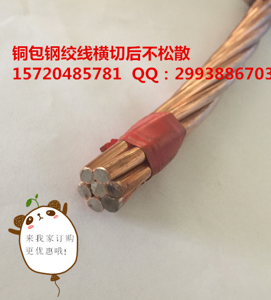 timg_副本1