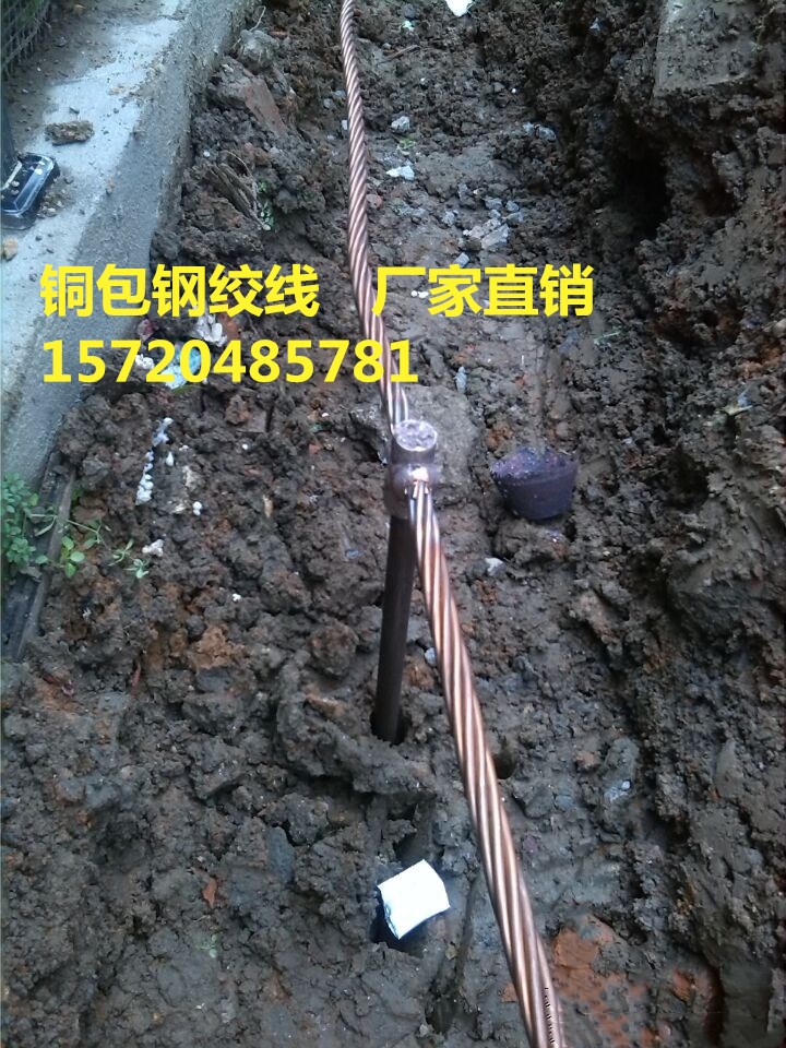 timg_副本1111